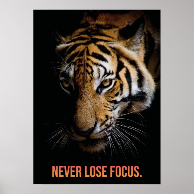 Never Lose Focus - Tiger, Success, Entrepreneur Poster (Front)