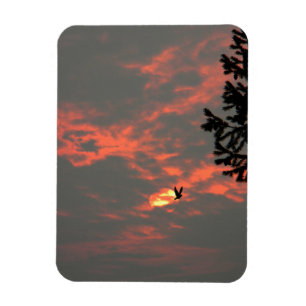 Never more the Raven... Magnet