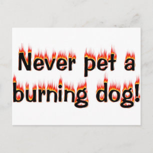Never pet a burning dog! postcard
