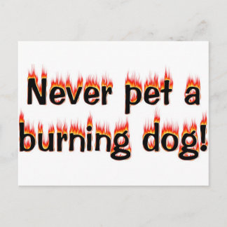 Never pet a burning dog! postcard