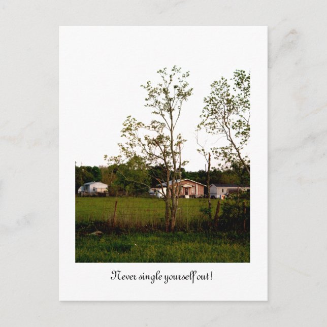 Never single yourself out! postcard (Front)