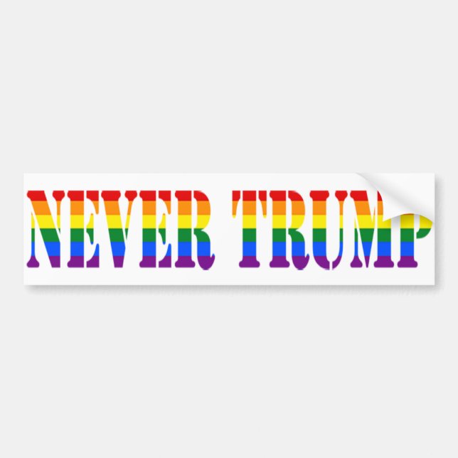 Never Trump - Stop Project 2025 - Defend Democracy Bumper Sticker (Front)