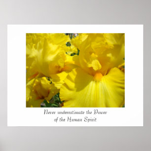 Never underestimate the Power of the Human Spirit Poster
