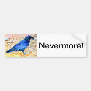 nevermore bumper sticker