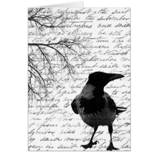 Nevermore Notes