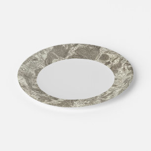 Nevers Paper Plate