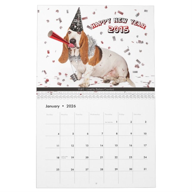 NEW - 2015 AZBHR Calendar (Jan 2026)