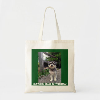 *NEW* 2015 Spring Has SPRUNG! Carmine Winston tote Bag