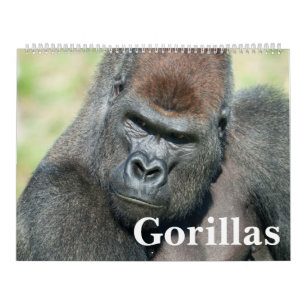 NEW 2026 Gorilla Calendar