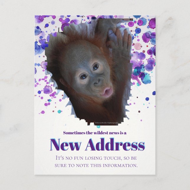 New Address Announcement Postcard (Front)