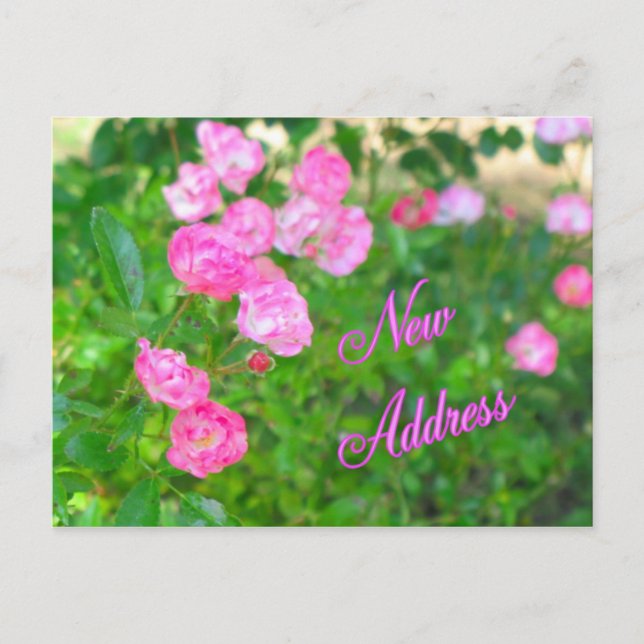 New Address Announcement Postcard (Front)