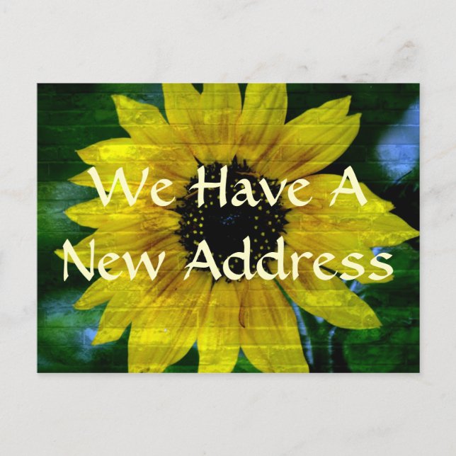 New Address Postcard (Front)
