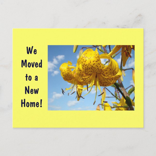 New Address postcards Moved to New Home cards (Front)