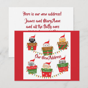 New Address with Cats in Christmas Boxes Announcement