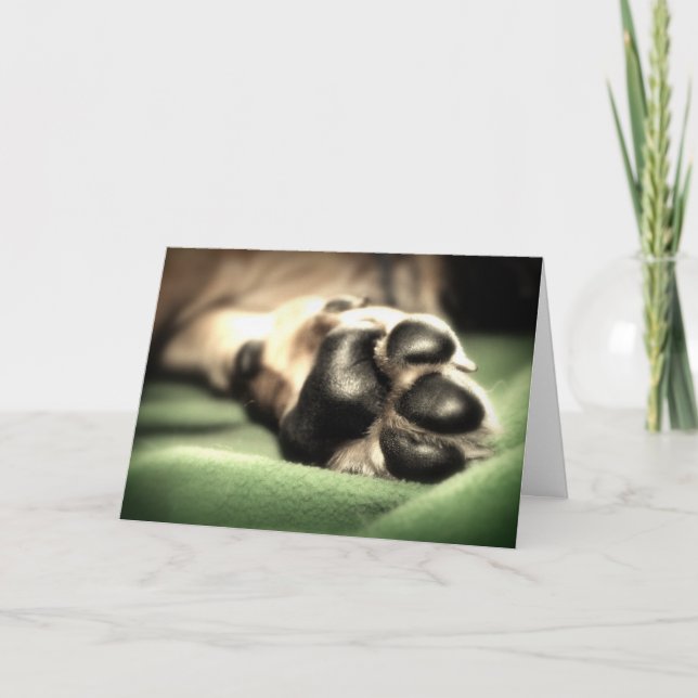 New Arrival Card (Front)