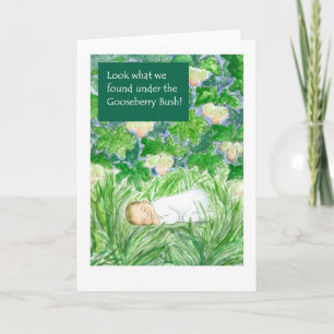 New Baby  Announcement Card - Gooseberry Bush
