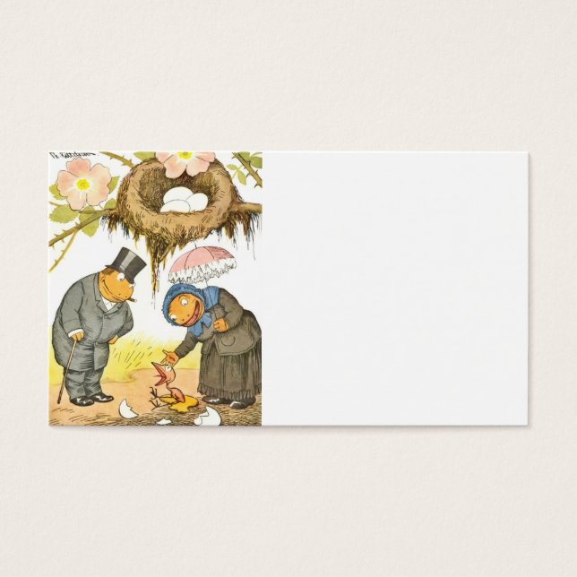 New Baby  Bird (Front)