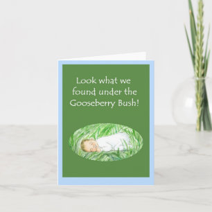 New Baby Boy Announcement Card - Gooseberry Bush