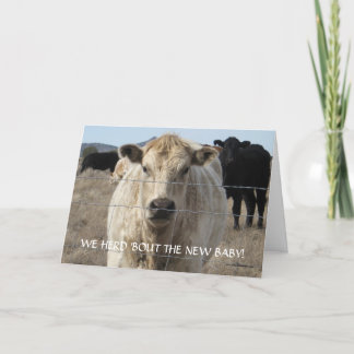 New Baby Congratulations - Cattle Herd - Western Card