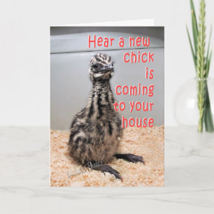New Baby Emu BY 3-z Announcement