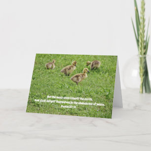 New Baby Geese Faith Card Psalm 37:11