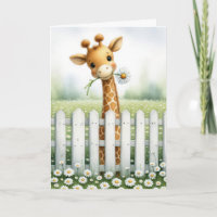 New Baby Giraffe With Daisy