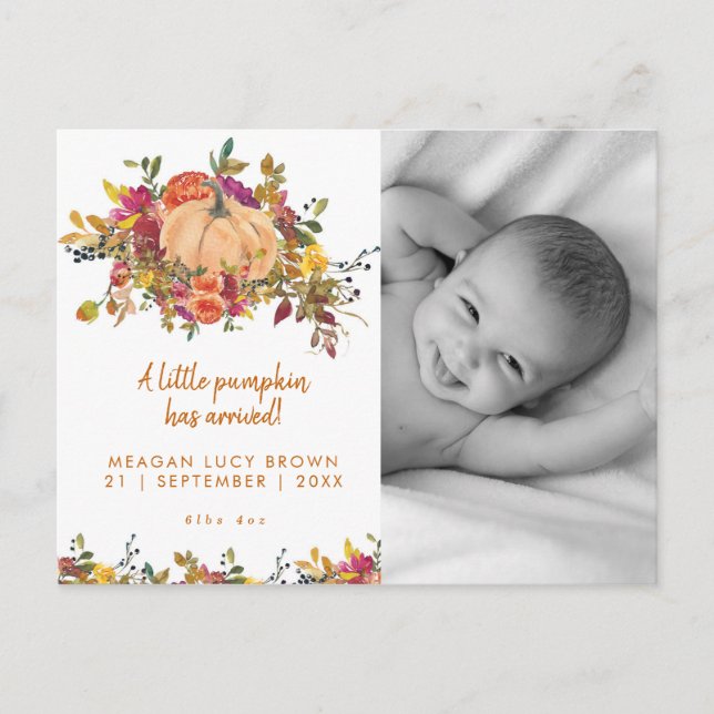 new baby little pumpkin fall photo postcard (Front)