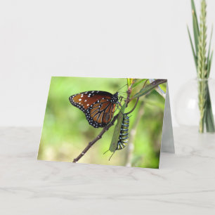 New Beginnings Greeting Card
