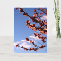 New Beginnings Spring Blossoms Card