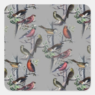 New Birds pattern accessories, vintage art grey Square Sticker