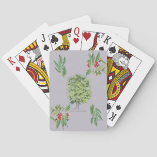 New botanical illustration Claraíba lilac tree Playing Cards