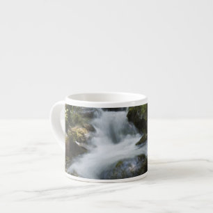 New Brunswick, Canada. Dickson Falls in Fundy Espresso Cup