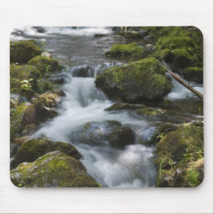 New Brunswick, Canada. Dickson Falls in Fundy Mouse Pad