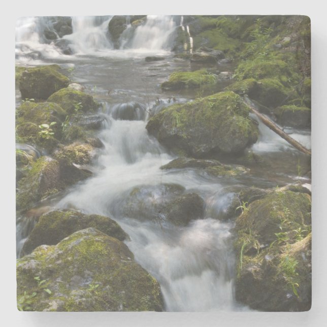 New Brunswick, Canada. Dickson Falls in Fundy Stone Coaster (Front)