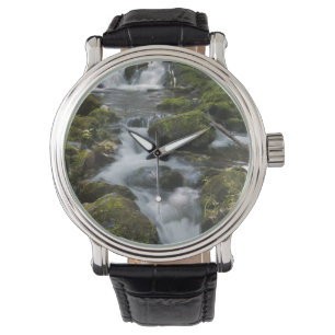 New Brunswick, Canada. Dickson Falls in Fundy Watch