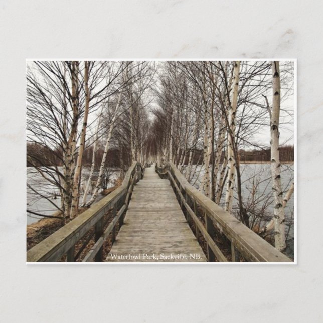 New Brunswick, Canada Postcard (Front)