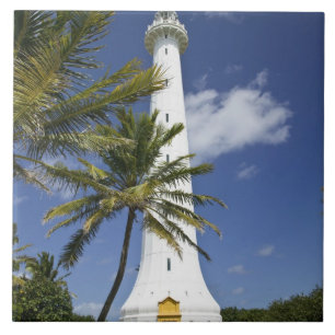 New Caledonia, Amedee Islet. Amedee Islet Tile