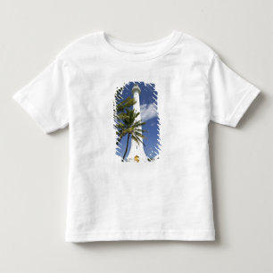 New Caledonia, Amedee Islet. Amedee Islet Toddler T-Shirt