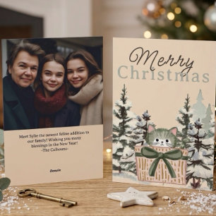 New Cat Christmas Announcement