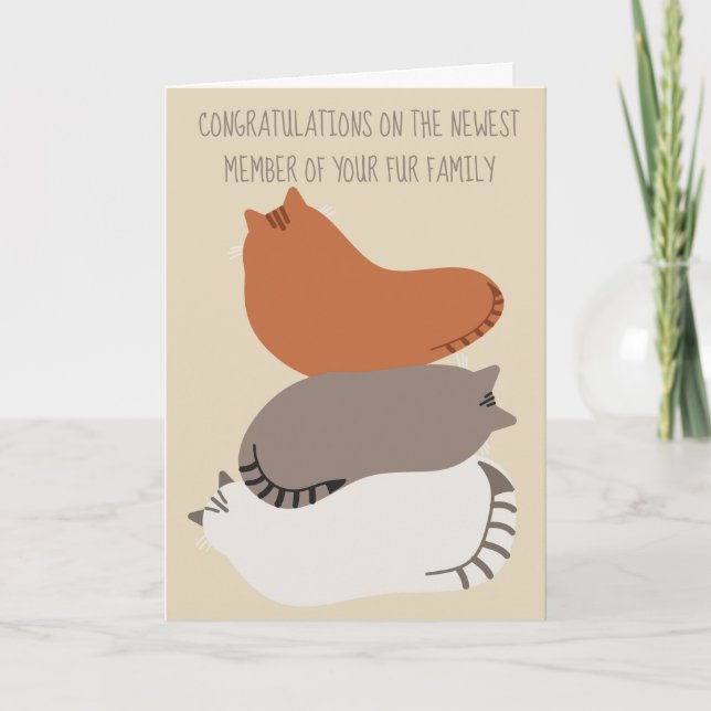 New Cat Congratulations Card for Cat Owners (Front)