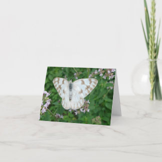 New Day Gardens Notecard- Chequered White Card