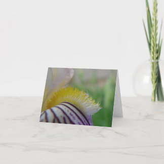 New Day Gardens Notecard- Closeup Historic Iris Card