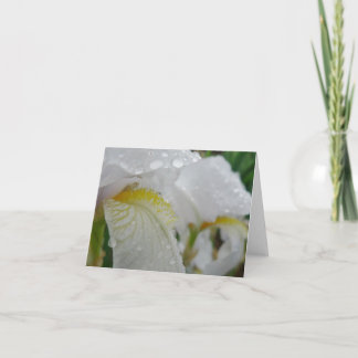 New Day Gardens Notecard- Iris 'Florintina' Card
