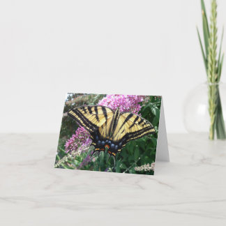New Day Gardens Notecard-Western Swallowtail Card