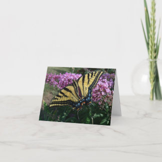 New Day Gardens Notecard- Western Swallowtail Card