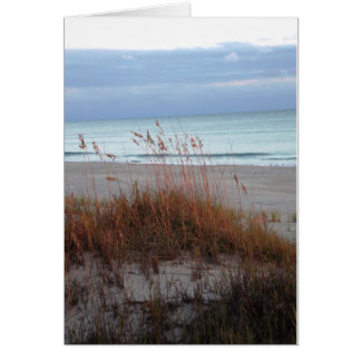 New Dunes