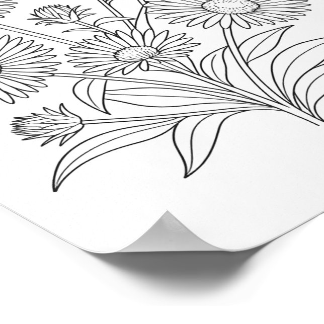 New England Aster Colouring Poster (Corner)