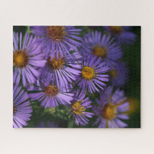 New England Asters Jigsaw Puzzle
