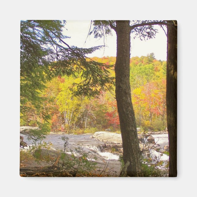 New England Autumn 127 Magnet (Front)