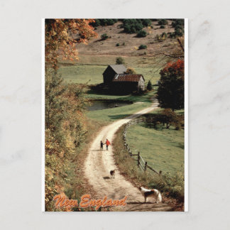 New England Autumn Country Lane Vintage View Postcard
